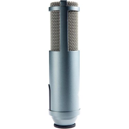  MXL R80 Ribbon Microphone Level 1