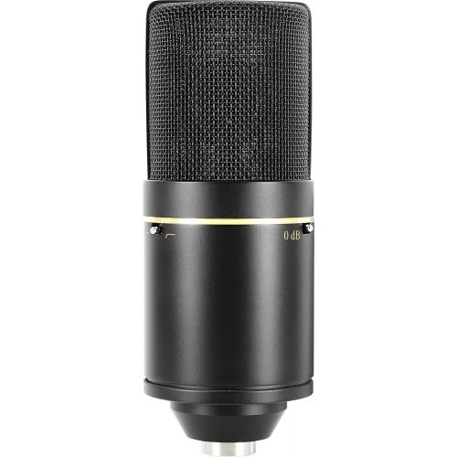  MXL Mics 770 Cardioid Condenser Microphone