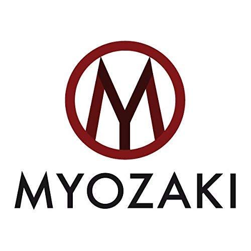  MYOZAKI Barber Box Kit - including 9 items: Hair Clipper(4 Combs) Hair Trimmer(3 Combs) Straight Razor, Shaving Bowl, Vintage Safety Razor, Shaving Brush, Alum Block, Beard Comb, Travel Ad