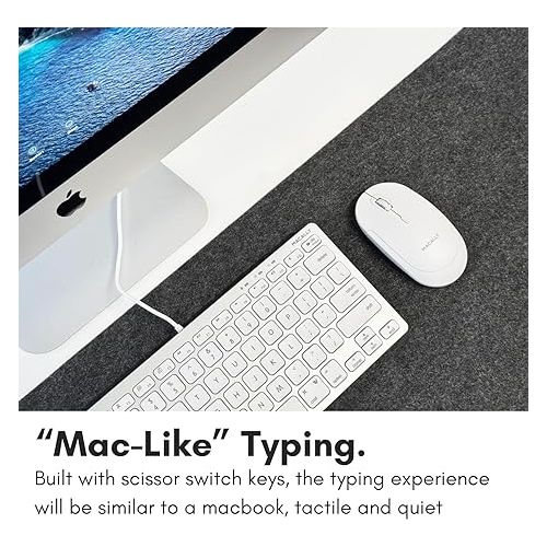  Macally Small USB C Keyboard - Plug & Play Compatible Wired Apple Keyboard for Mac Mini, MacBook Pro/Air, iMac, iPad, Windows, Chromebook with USBC Port - Compact & Mini USB Type C Keyboard - Silver