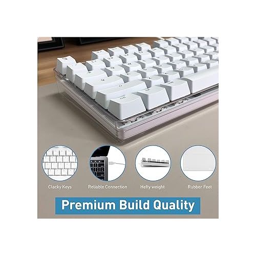  Macally Backlit Keyboard for Mac and an Ergonomic Laptop Stand, Ultimate MacBook Accessories