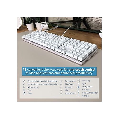  Macally Backlit Keyboard for Mac and an Ergonomic Laptop Stand, Ultimate MacBook Accessories