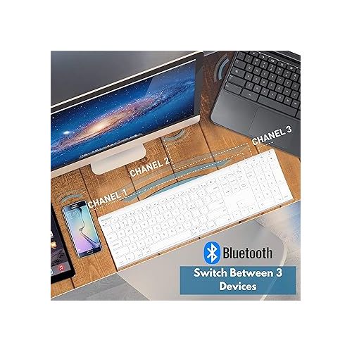  Macally Wireless Bluetooth Rechargeable Mouse and a Wireless Bluetooth Keyboard for Mac & PC, Classic Apple Essentials