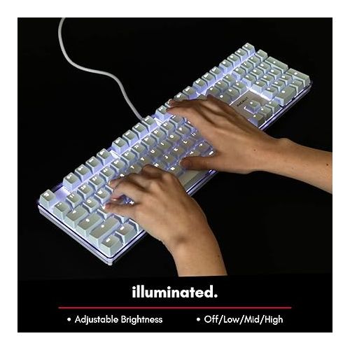  Macally Backlit Mechanical Keyboard for Mac - Quality You Can Feel - Classic Mac Mechanical Keyboard with Brown Switches for Comfortable Typing - 104 Key Apple Keyboard Wired USB with Weighted Base