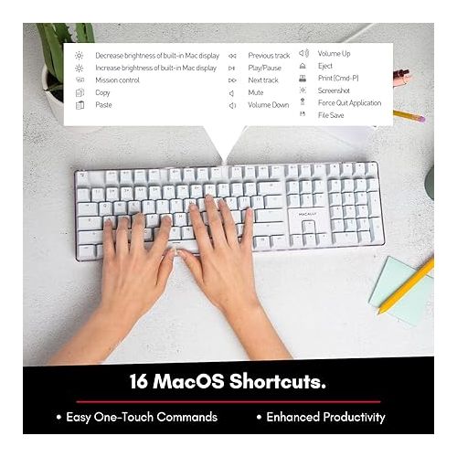  Macally Backlit Mechanical Keyboard for Mac - Quality You Can Feel - Classic Mac Mechanical Keyboard with Brown Switches for Comfortable Typing - 104 Key Apple Keyboard Wired USB with Weighted Base