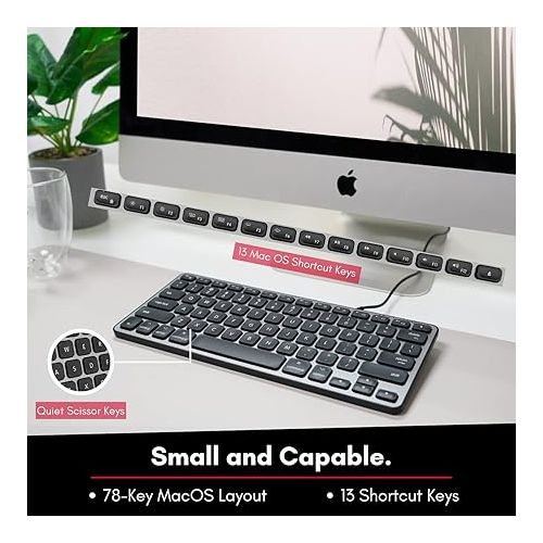  Macally Backlit Compact Keyboard and Vertical Laptop Stand, Everything Your Mac Needs