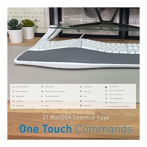  Macally Ergonomic Mac Keyboard and an Aluminum Ergonomic Laptop Stand, Apple Aesthetic with Much More Comfort