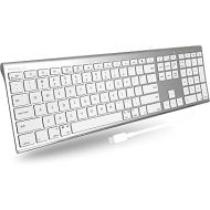 Macally USB C Keyboard - Wired Keyboard for Mac - Ultra Slim Full Size Compatible Apple Keyboard Wired with 20 Shortcuts and 110 Scissor Keys - USBC Keyboard for MacBook Pro/Air, Mac Mini, iMac, iPad