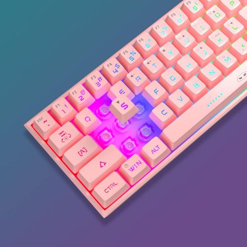  MageGee TS91 Mini 60% Gaming/Office Keyboard,Waterproof Keycap Type Wired RGB Backlit Compact Computer Keyboard for Windows/Mac/Laptop (Pink)