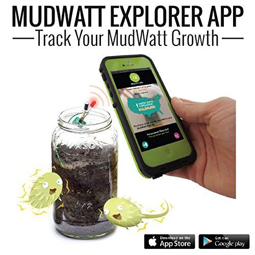  Magical Microbes MudWatt STEM Kit: Clean Energy from Mud! | Core