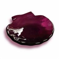 MagmaVetriArtistici Murano Glass Shell Purple grape marc, small bowl for the bathroom, empty cup-pockets in molten glass, many colors available
