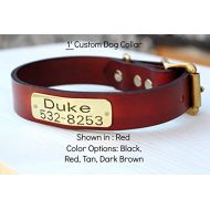 Magnus Leather Dog Collar 1 Leather with ID Plate SHIPS IN 1-DAY