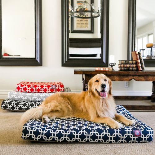 제네릭 Generic Links Small Orthopedic Memory Foam Rectangle Dog Bed