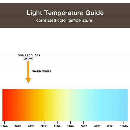  [아마존 핫딜] Malibu C Malibu LED Well Light Low Voltage Landscape Lighting Outdoor Deck Light Yard Garden Patio In-ground Light 8401-3500-01