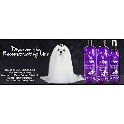  Maltese Obsession - Pure Paws Professional Shampoos, Conditioners, Conditioning Spray - Professional Dog Shampoo - Dilution 1:8 or 1:10 for Shampoos and Conditioners