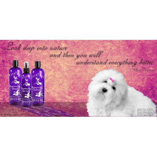  Maltese Obsession - Pure Paws Professional Shampoos, Conditioners, Conditioning Spray - Professional Dog Shampoo - Dilution 1:8 or 1:10 for Shampoos and Conditioners