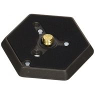 Manfrotto 130- 38 Hexagonal Quick Release Mounting Plate with 3/8-Inch Thread and Flush Mount Screw