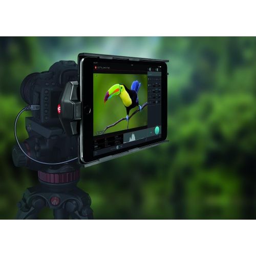  Manfrotto MVDDM14 DD for iPad Mini 2014 (Black)