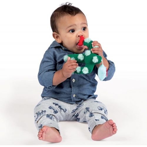  [아마존베스트]Manhattan Toy Cactus Garden Rock + Rattle Bpa-Free Baby Toy with Chime