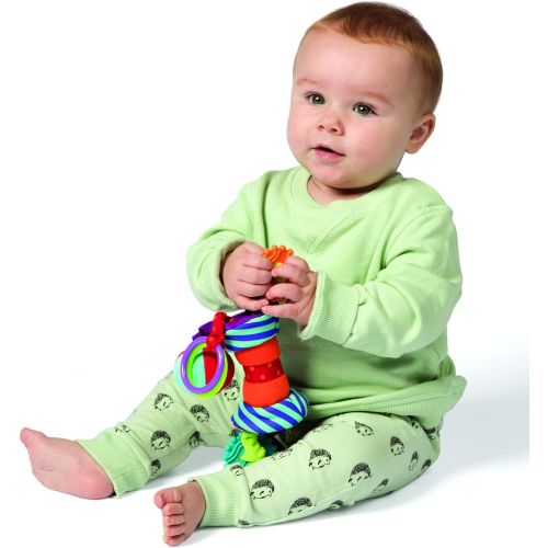  Manhattan Toy Ziggles Rattle and Teether Developmental Activity Toy