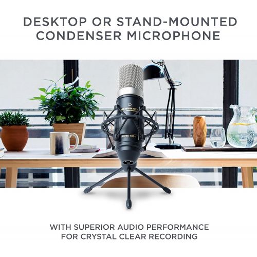 마란츠 Marantz Professional Marantz Pro MPM1000 - Studio Recording Condenser Microphone with Shockmount, Desktop Stand and Cable  Perfect for Podcasting and Voiceover Projects