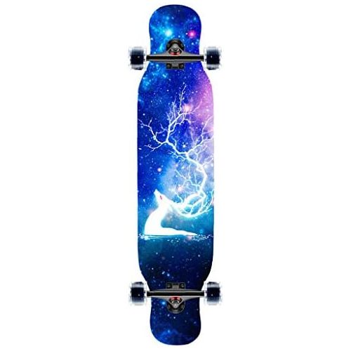  Marke: HYE-SPORT HYE-SPORT Skateboard Pro 42,1 Zoll X 9,7 Zoll Wide Deck Longboards Skateboard Komplettes Double Kick Trick Skateboard fuer Anfanger und Profis