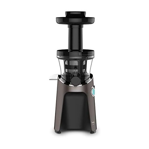  Moulinex ZU550A Power Juicer Saftpresse (150 Watt, 800 ml Kapazitat, 2 Filter) Bronze