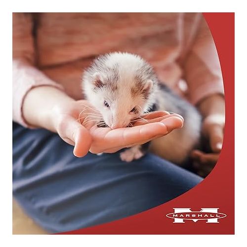 마샬 Marshall Pet Products Natural Complete Nutrition Premium Ferret Diet Food for Seniors, Highly Digestible, 4 lbs