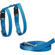 Harness & Lead (Blue)