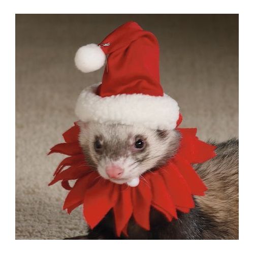 마샬 Marshall Ferret Santa Suit