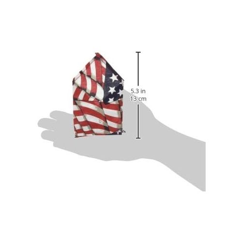 마샬 Marshall Ferret Bandanna, American Flag