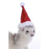Marshall Pet Santa Hat for Ferrets and Small Animals