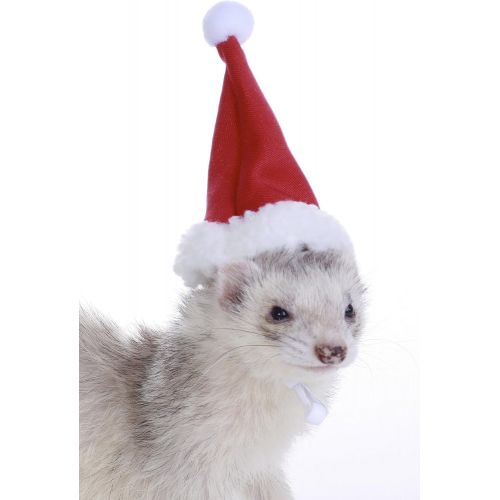 마샬 Marshall Pet Santa Hat for Ferrets and Small Animals