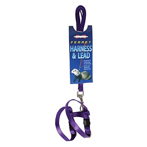 마샬 MARSHALL PET PRODUCTS 572018 Ferret Harness & Lead Purple, 48 in