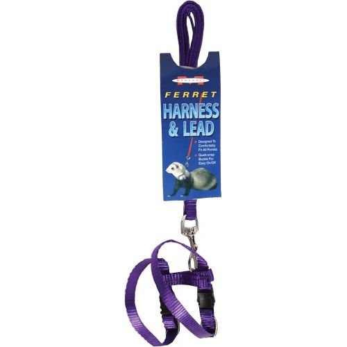 마샬 MARSHALL PET PRODUCTS 572018 Ferret Harness & Lead Purple, 48 in