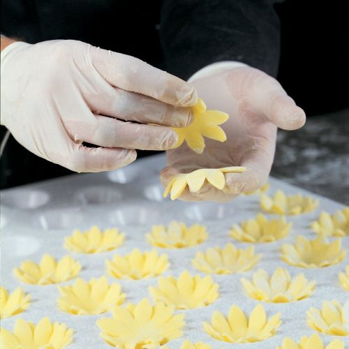  Martellato Kit for Shaping Edible Flowers, with Cutting Sheet of 8-Petal Flower