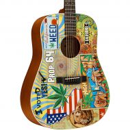 Martin D-420 Acoustic Guitar Custom Graphic