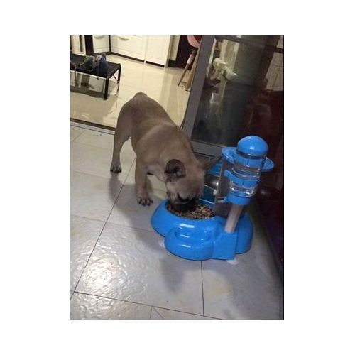  MaruPet Automatic Pet Standing Water Dispenser Cat Dog Standing Bowl Detachable Pole Automatically Feeding Water Height Adjustable