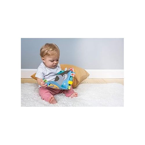  Taggies Touch & Feel Soft Cloth Book with Crinkle Paper & Squeaker, Molasses Sloth