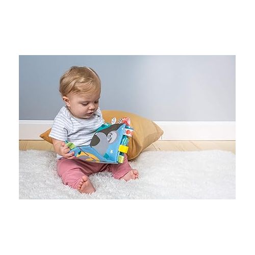  Taggies Touch & Feel Soft Cloth Book with Crinkle Paper & Squeaker, Molasses Sloth