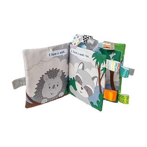  Taggies Touch & Feel Soft Cloth Book with Crinkle Paper & Squeaker, 6 x 6-Inches, Heather Hedgehog