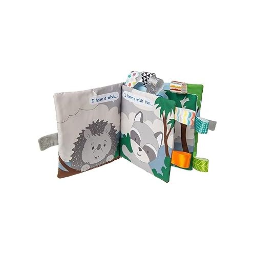  Taggies Touch & Feel Soft Cloth Book with Crinkle Paper & Squeaker, 6 x 6-Inches, Heather Hedgehog