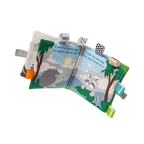  Taggies Touch & Feel Soft Cloth Book with Crinkle Paper & Squeaker, 6 x 6-Inches, Heather Hedgehog