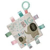 Taggies Crinkle Me Baby Paper and Squeaker Soft Toy, 6.5 x 6.5-Inches, Dream Big Elephant