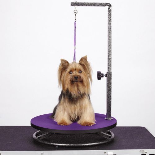  Master Equipment Pet Grooming Table for Pets