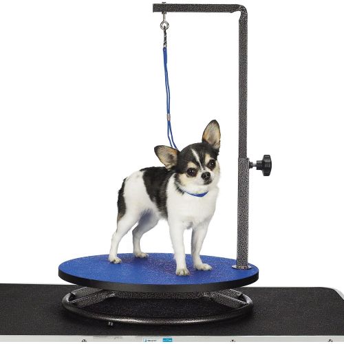  Master Equipment Pet Grooming Table for Pets