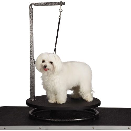  Master Equipment Pet Grooming Table for Pets