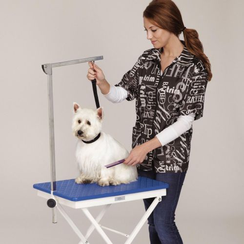  Master Equipment Steel Versa Competition Pet Grooming Table