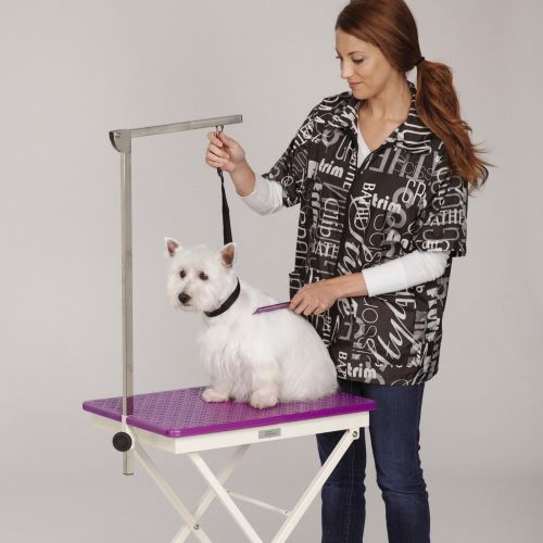  Master Equipment Steel Versa Competition Pet Grooming Table