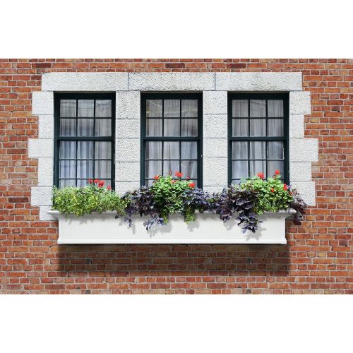  Mayne Yorkshire 6 Window Box Planter 4826